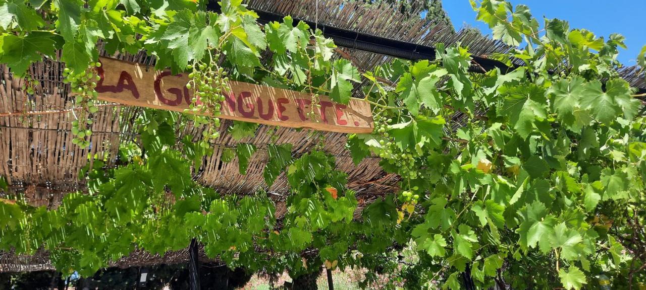 Fenêtre sur les Alpilles Saint-Martin-de-Crau Exterior foto