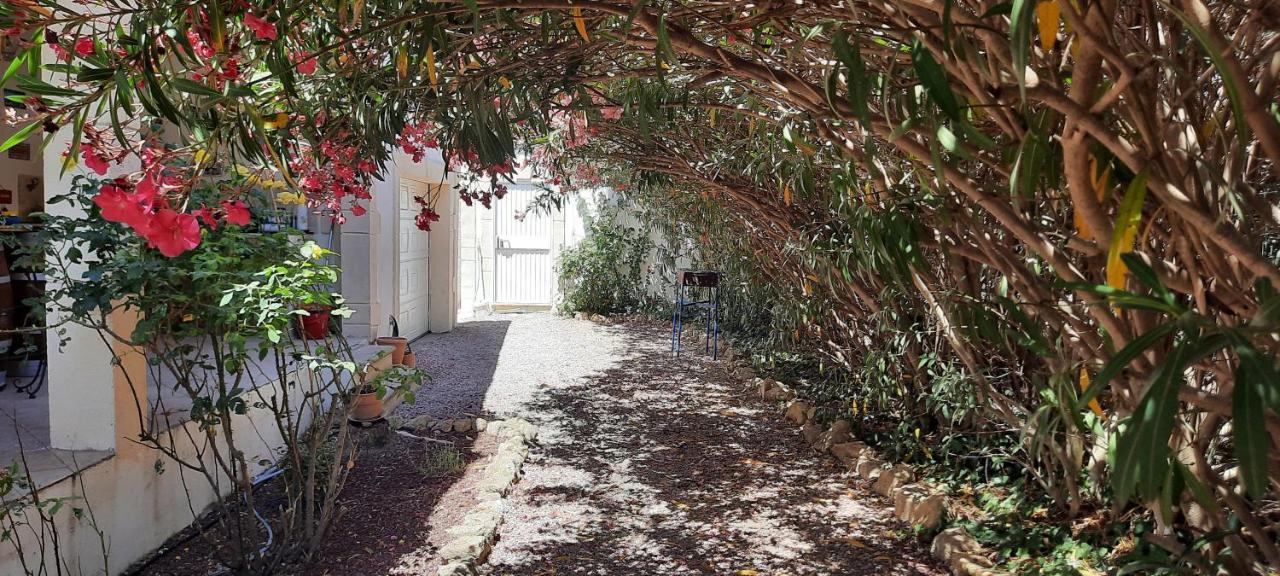 Fenêtre sur les Alpilles Saint-Martin-de-Crau Exterior foto